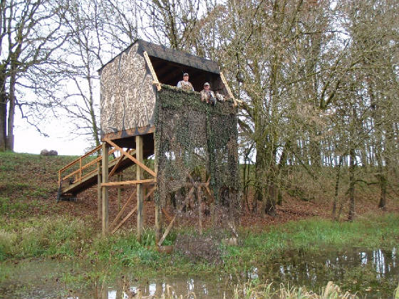 Duckblindrszd.jpg